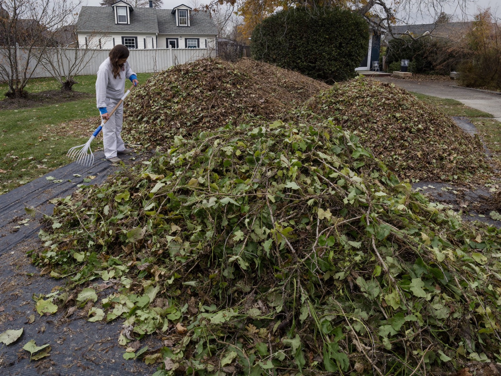 A neglected backyard being cleared and reset by a landscaping crew
